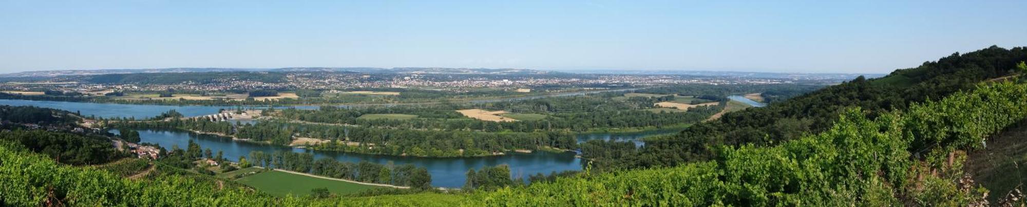 L'Ecrin De Vert Saint-Alban-du-Rhône 部屋 写真